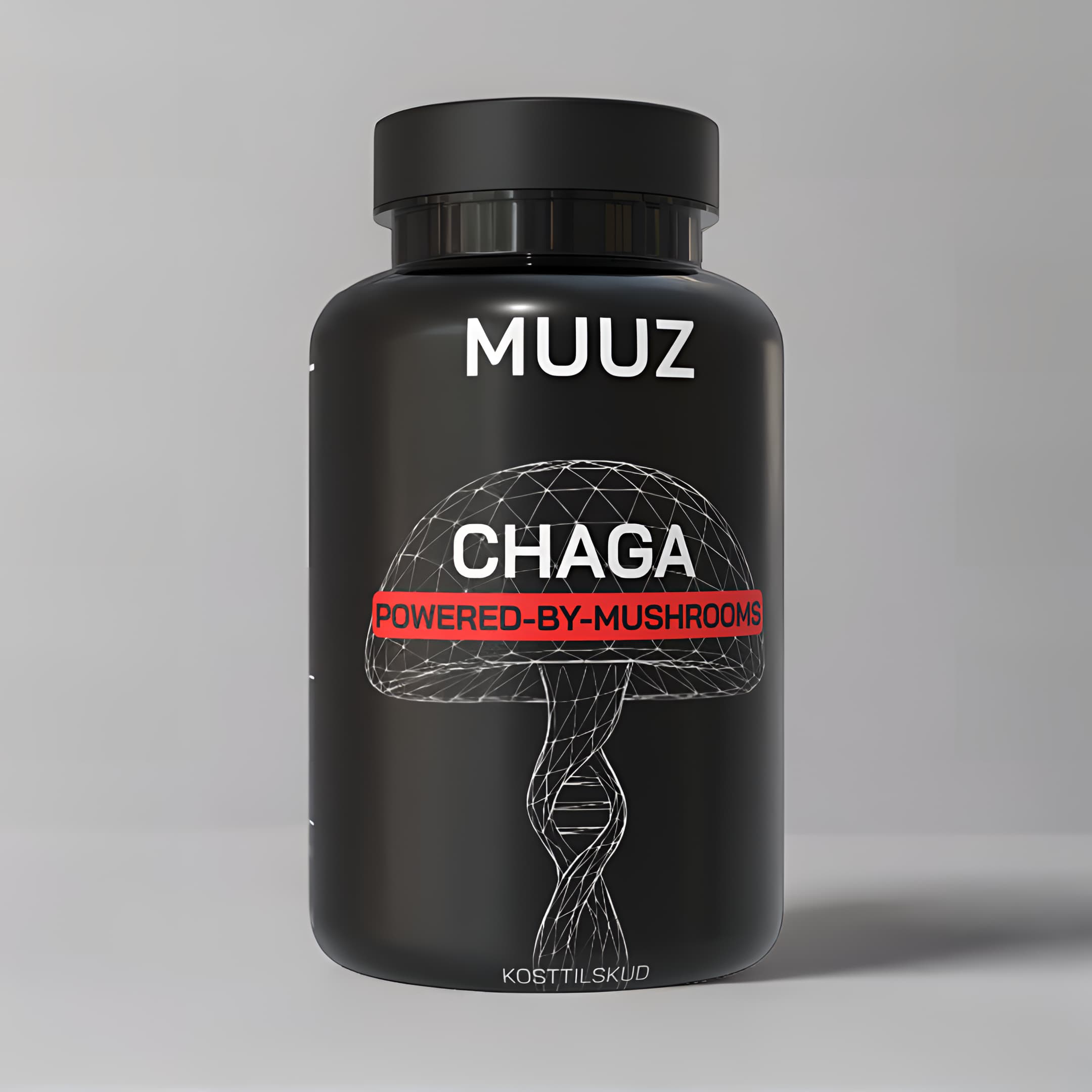Chaga