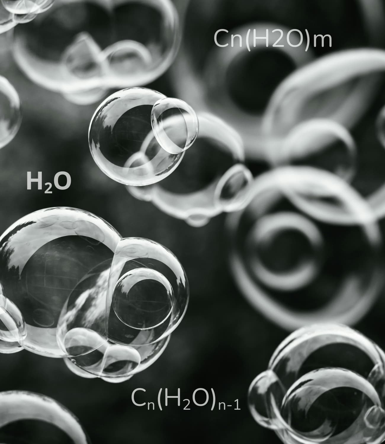 Avanceret ekstraktion af funktionelle svampe – dokumenteret med NMR og LC-MS