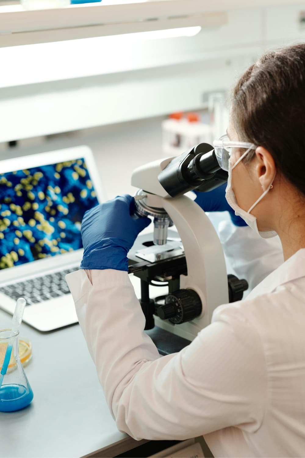 Laboratorietest af funktionelle svampe under mikroskop – dokumenteret kvalitet og præcision hos MUUZ