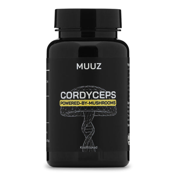 Cordyceps