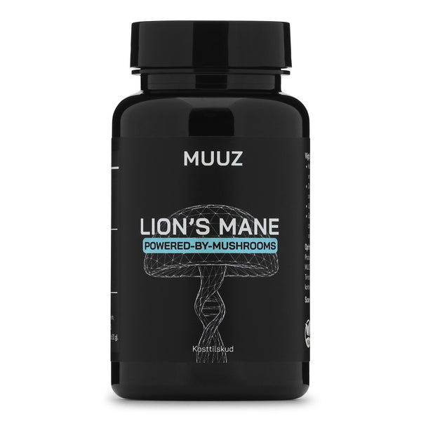 Lion’s Mane