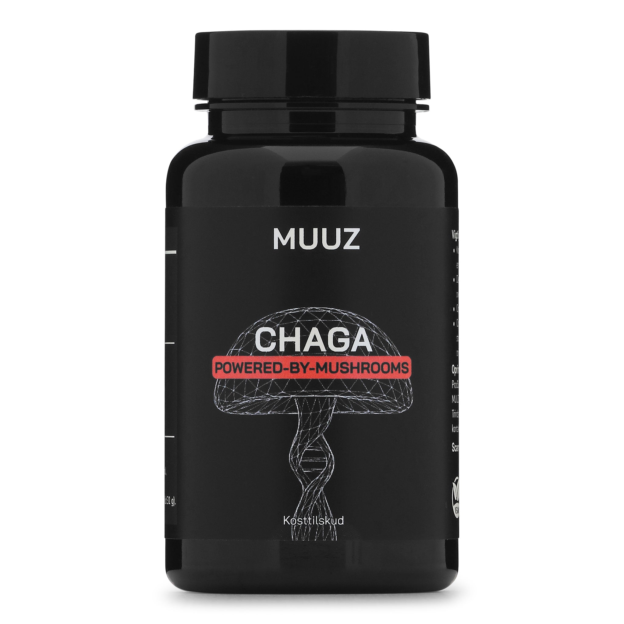Chaga