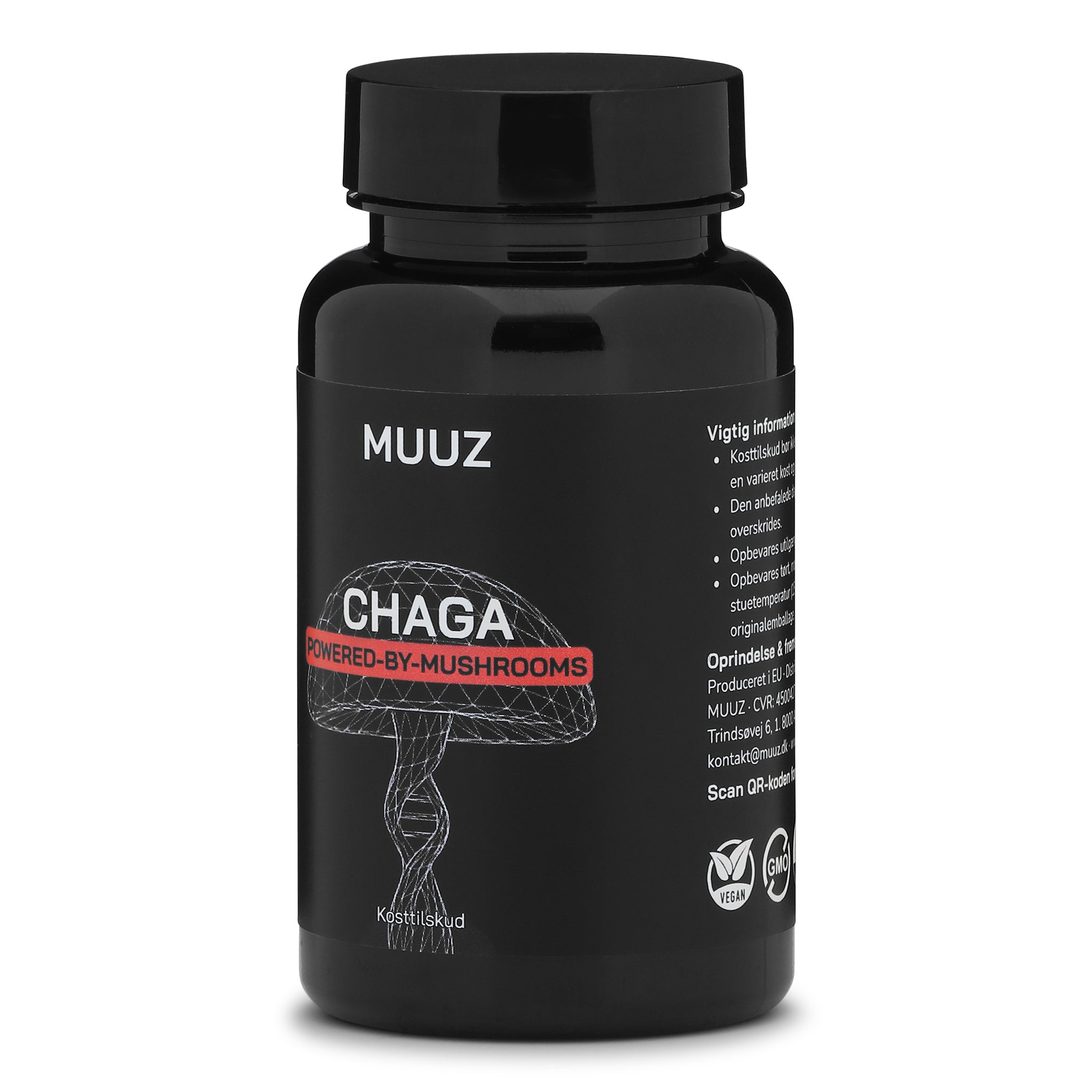 Chaga