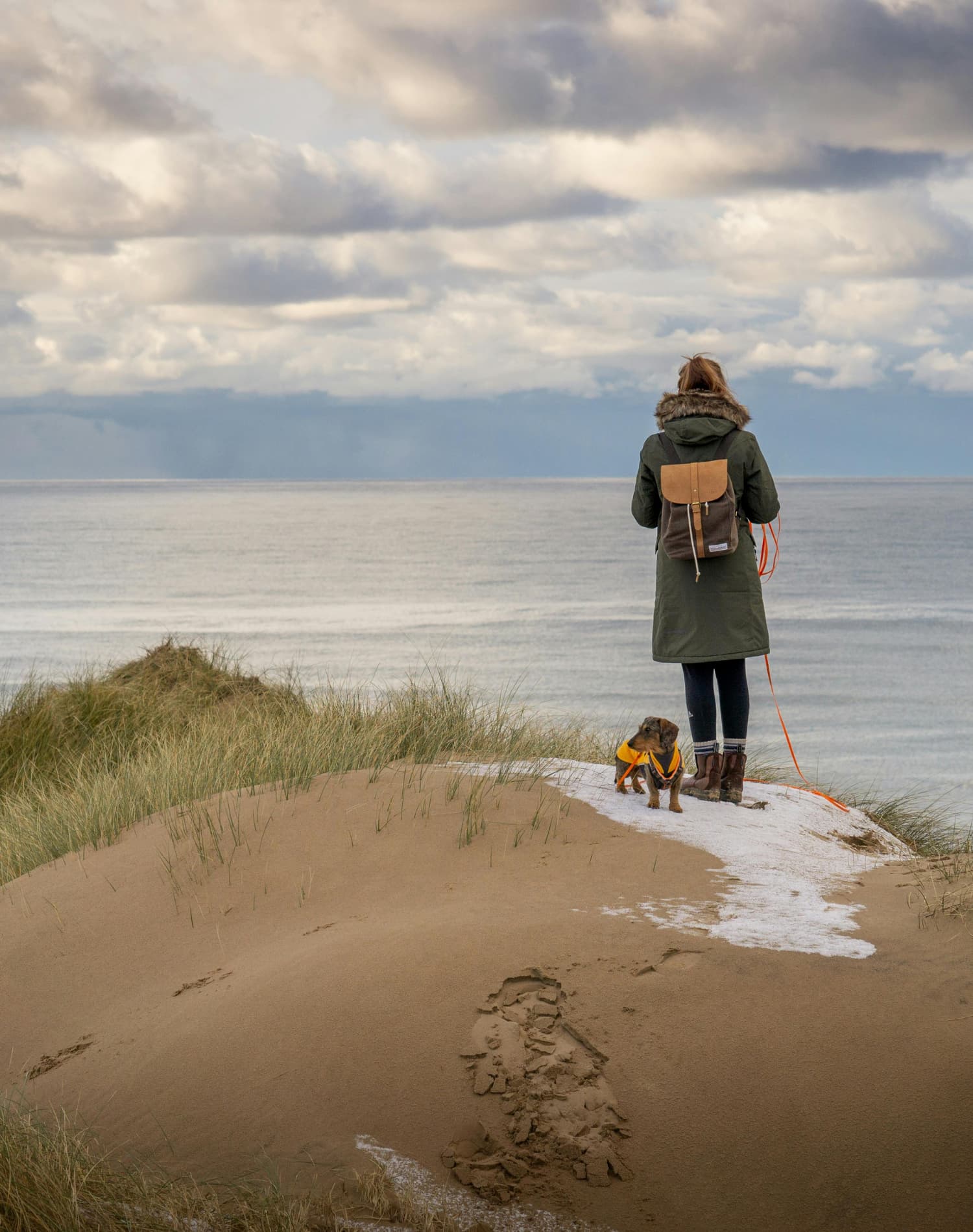 Person i frakke med hund ved dansk kyst – symbol på den nye generation, der genopdager Lion’s Mane som en del af en bevidst, balanceret livsstil.
