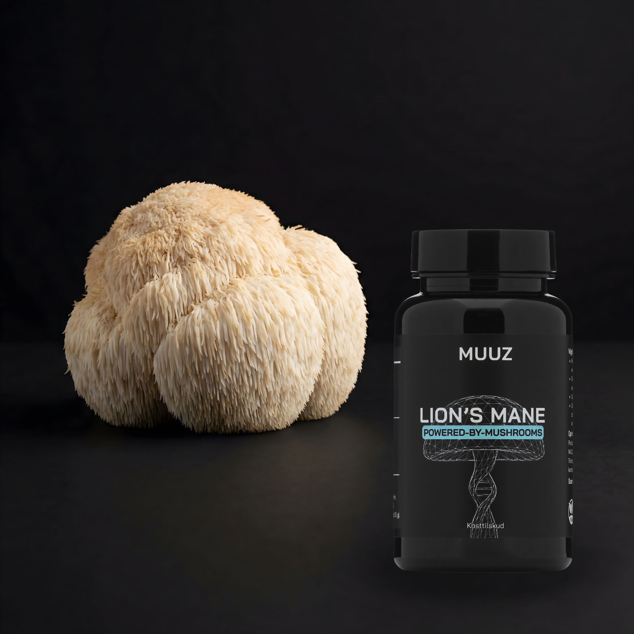 Lion’s Mane