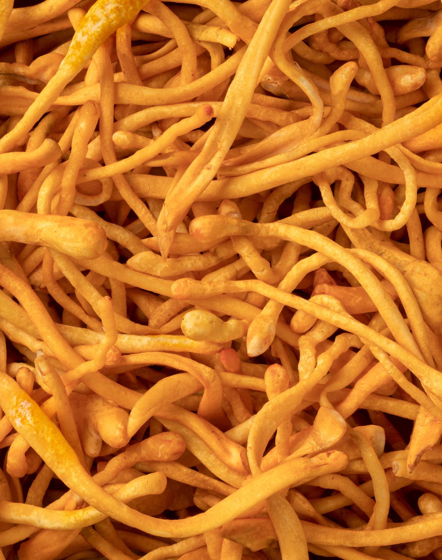 Nærbillede af Cordyceps svamp – viser den naturlige struktur og kompleksitet, ofte forbundet med forskning i cordyceps virkning og funktionelle egenskaber