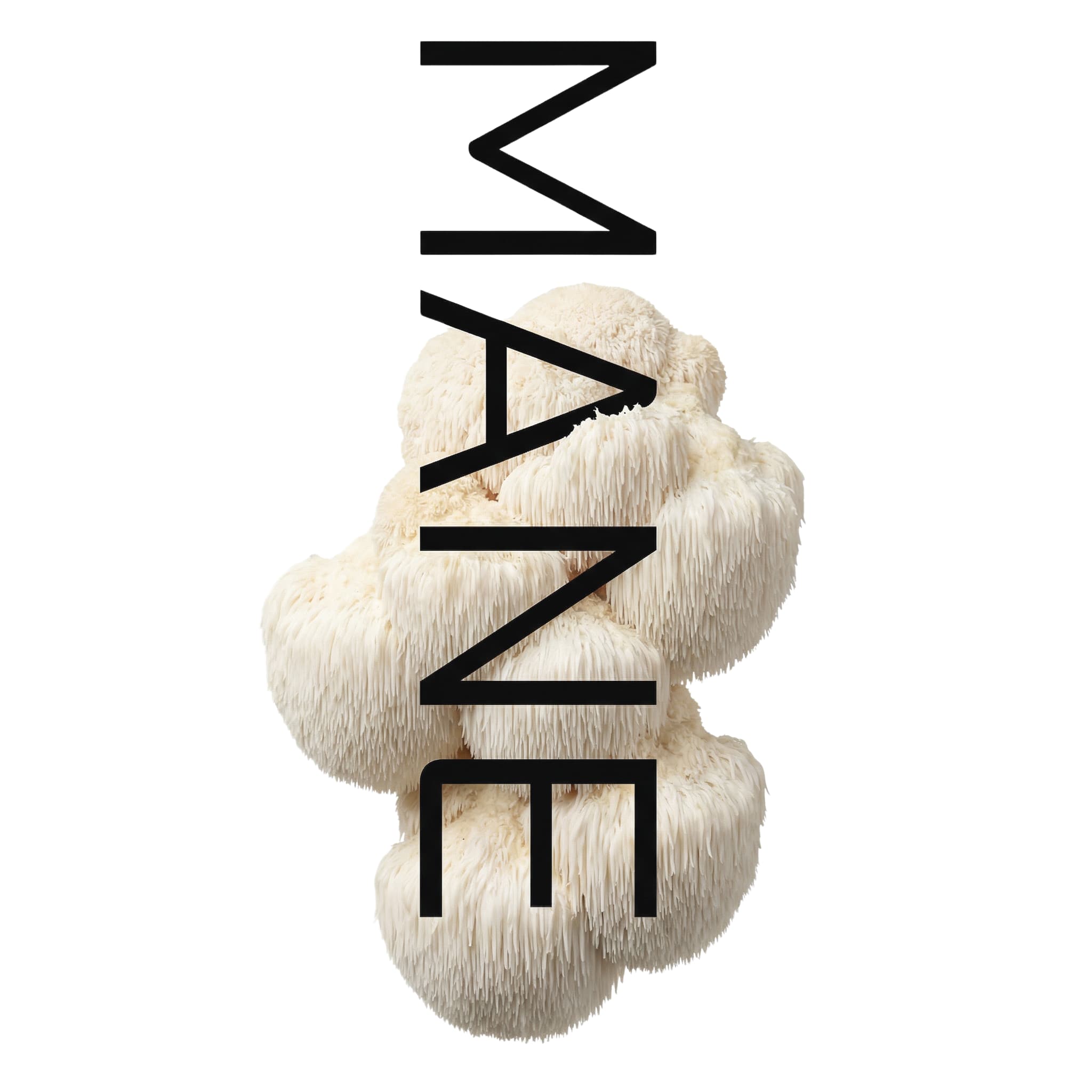 Lion’s Mane svamp præsenteret med vertikal MUUZ typografi i minimalistisk komposition