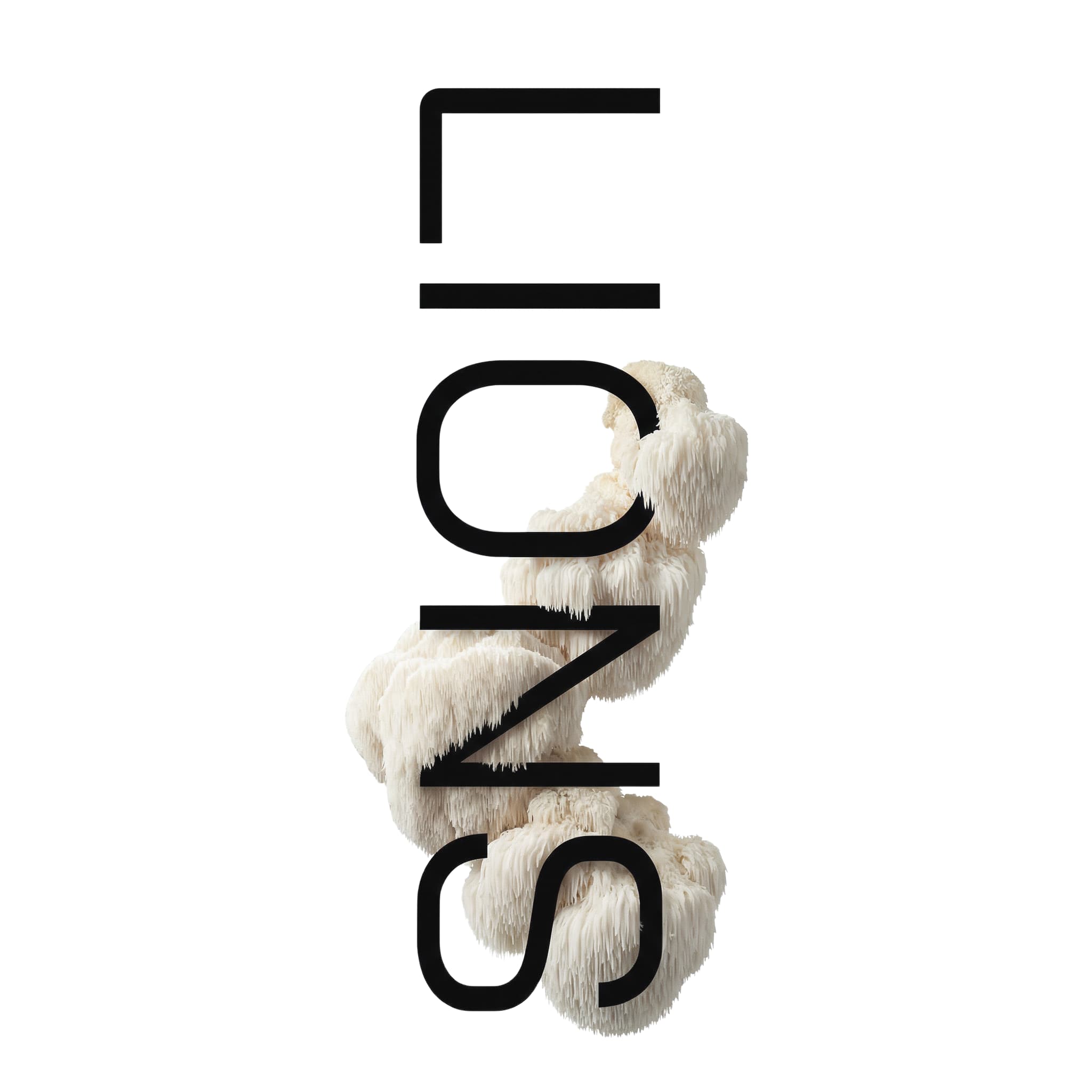 Lion’s Mane svamp præsenteret med vertikal MUUZ typografi i minimalistisk visuel stil